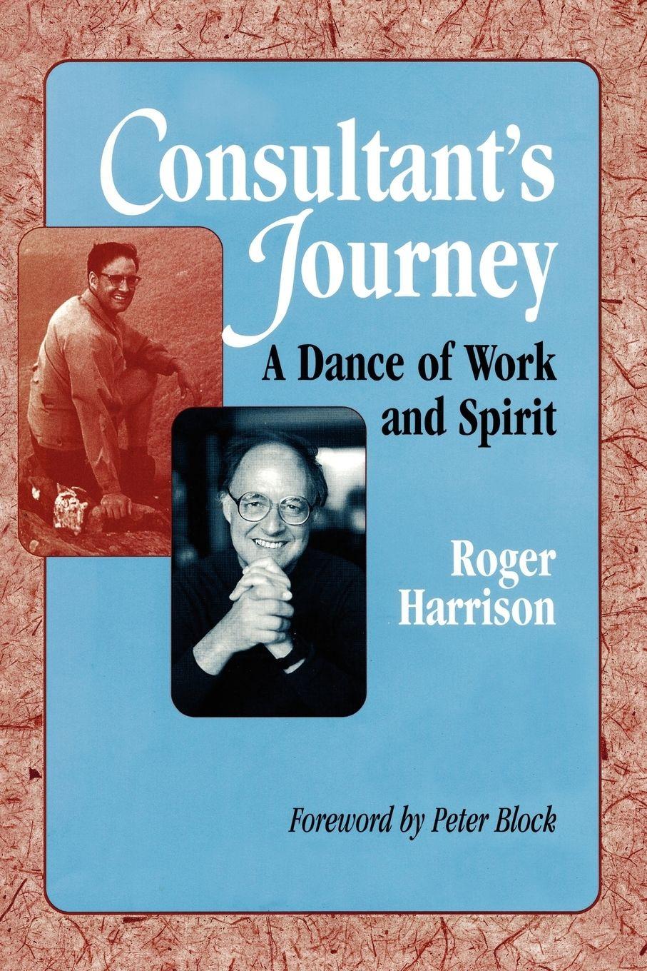Vorderes Coverbild Consultant's Journey
