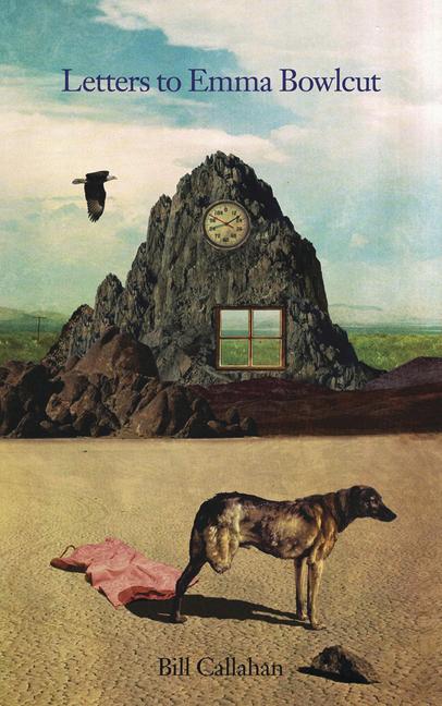 Vorderes Coverbild Letters to Emma Bowlcut