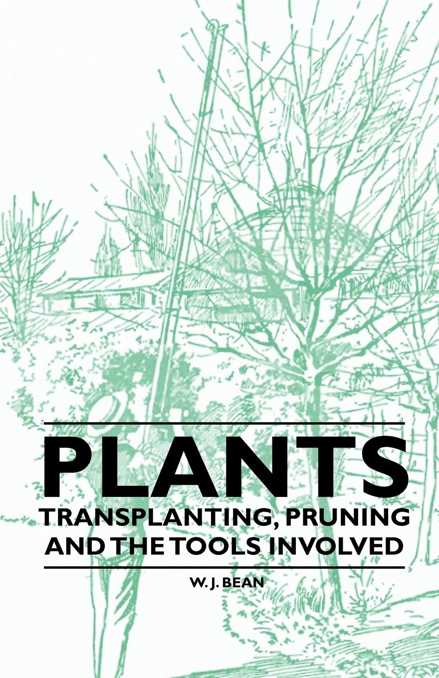 Vorderes Coverbild Plants - Transplanting, Pruning and the Tools Involved