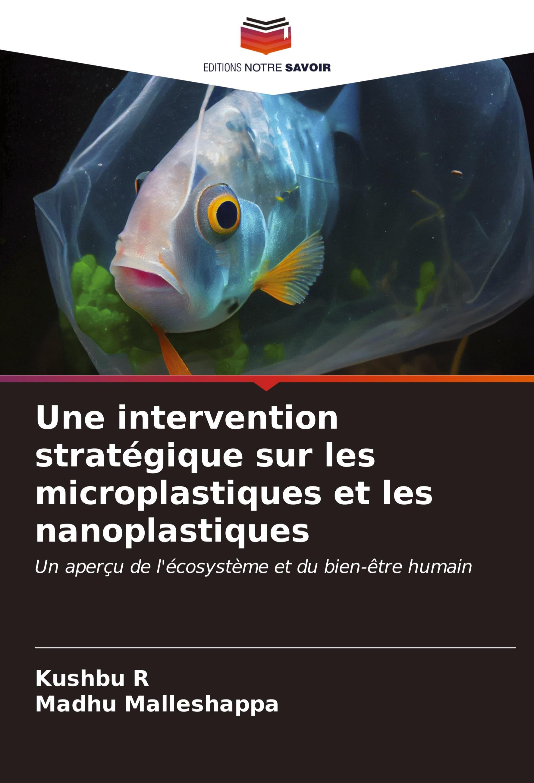 Vorderes Coverbild Final Absolution