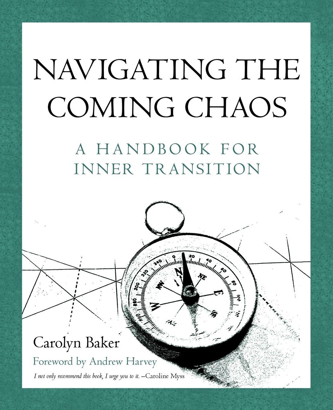 Vorderes Coverbild Navigating The Coming Chaos