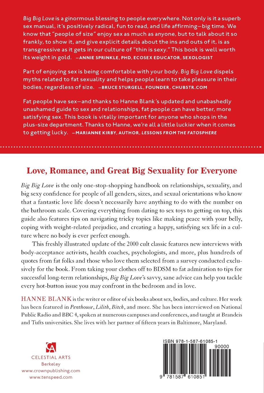 Rückseitencover Big Big Love, Revised