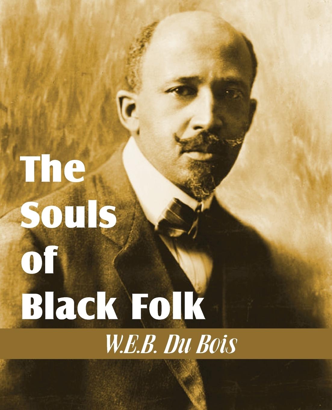 Vorderes Coverbild The Souls of Black Folk