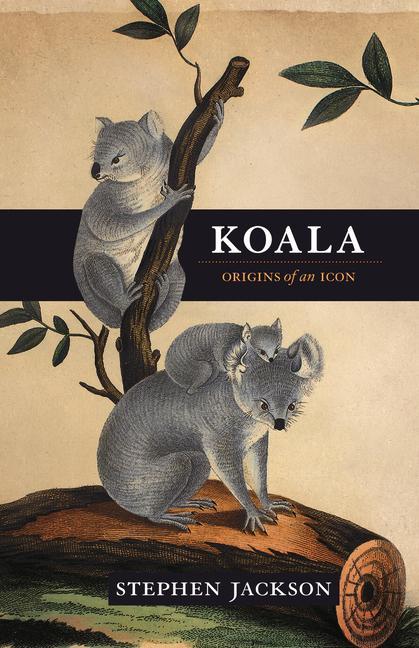Vorderes Coverbild Koala: Origins of an Icon