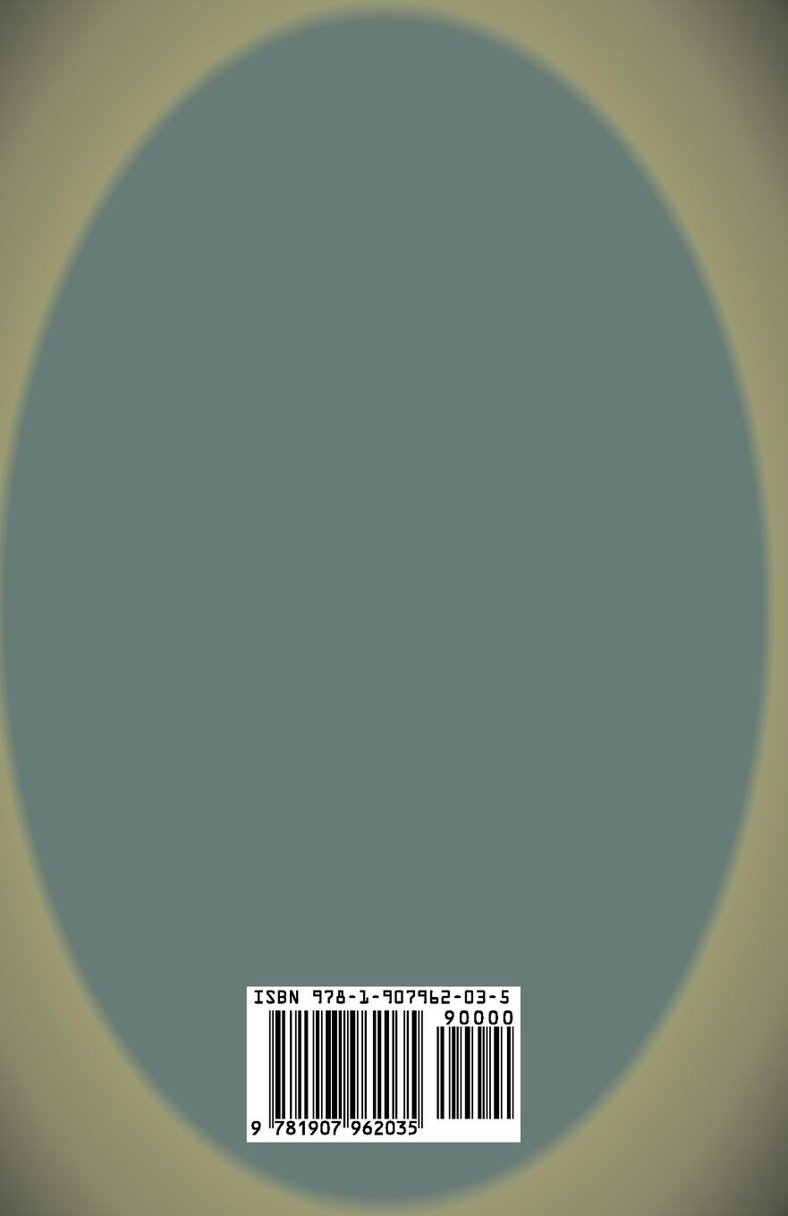 Rückseitencover Physicalism & Feelings