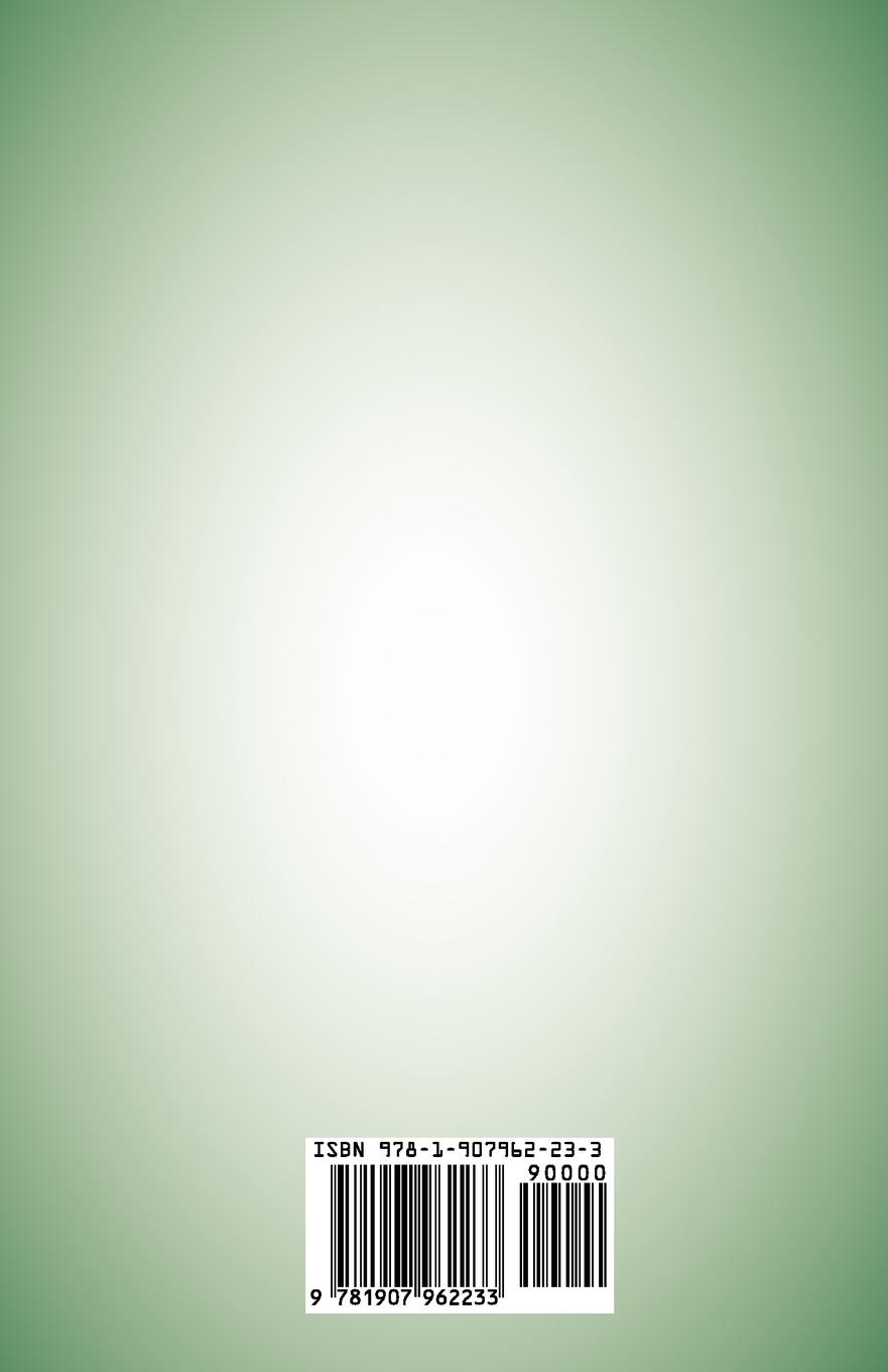 Rückseitencover A Critique of the Idea of Progress