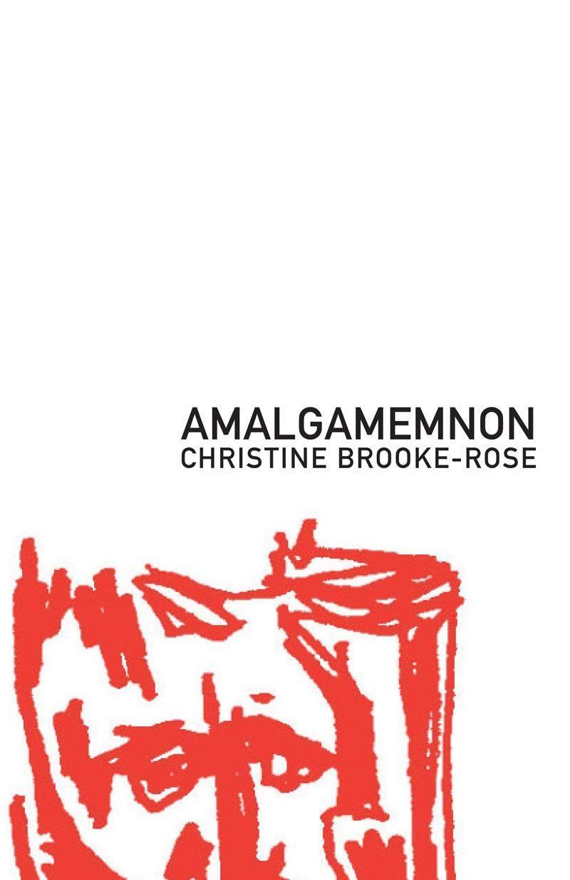 Vorderes Coverbild Amalgamemnon