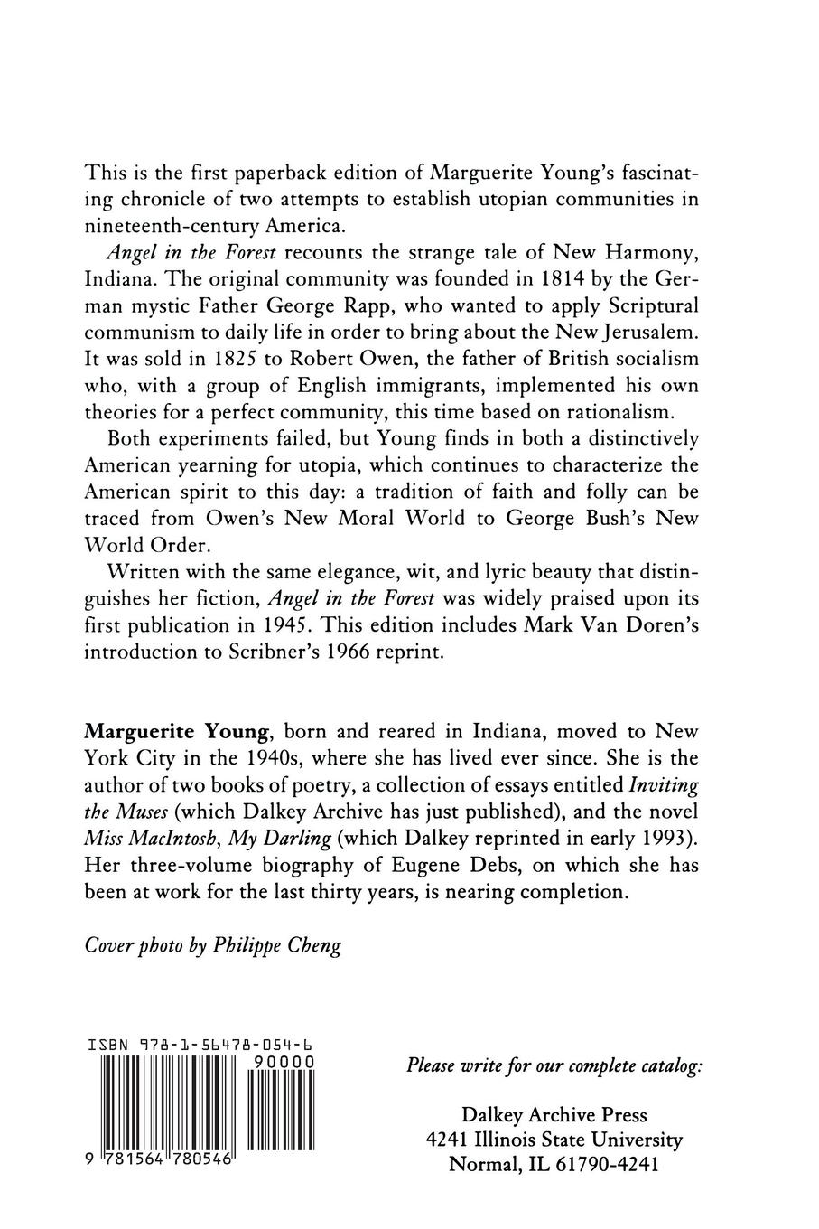 Rückseitencover Angel in the Forest