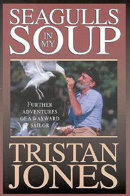Vorderes Coverbild Seagulls in My Soup