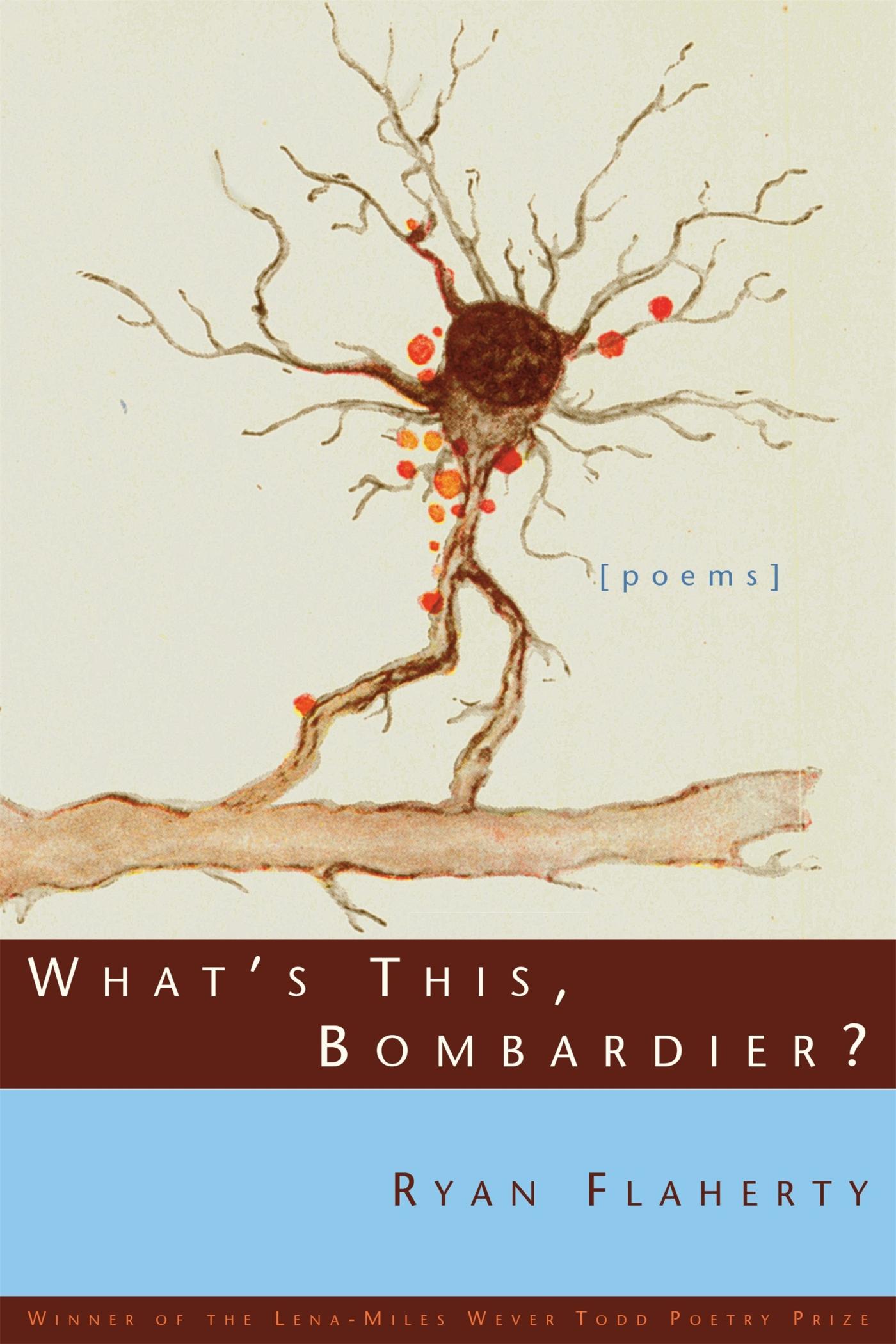 Vorderes Coverbild What's This, Bombardier?