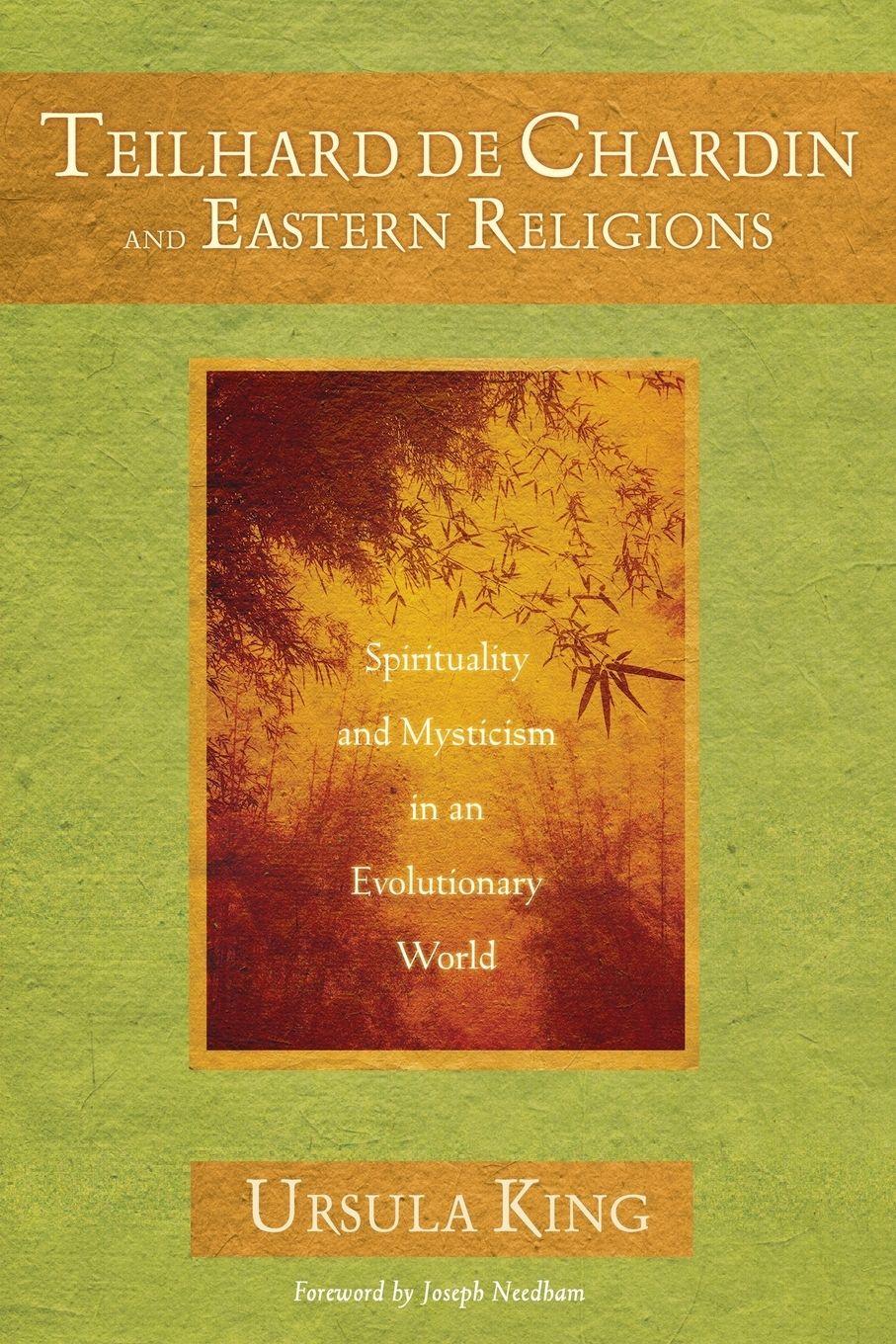 Vorderes Coverbild Teilhard de Chardin and Eastern Religions