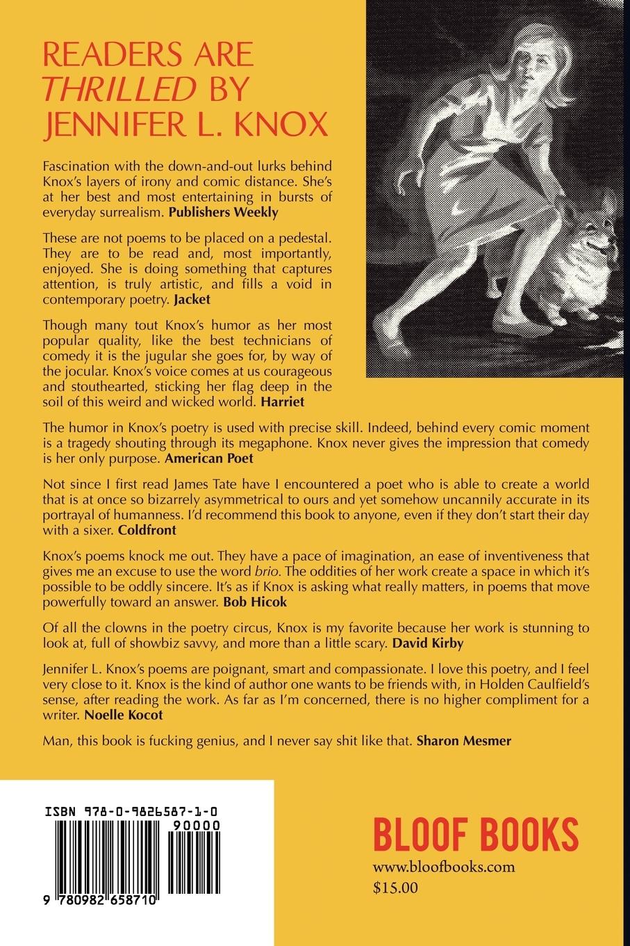 Rückseitencover The Mystery of the Hidden Driveway