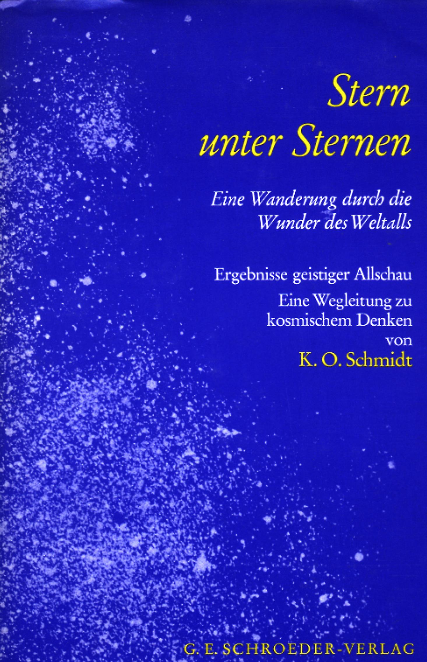 Vorderes Coverbild Stern unter Sternen