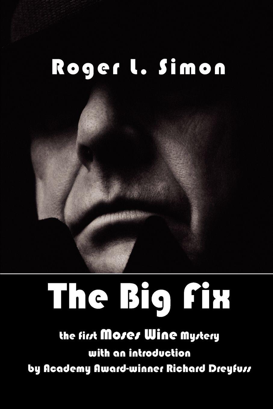 Vorderes Coverbild The Big Fix