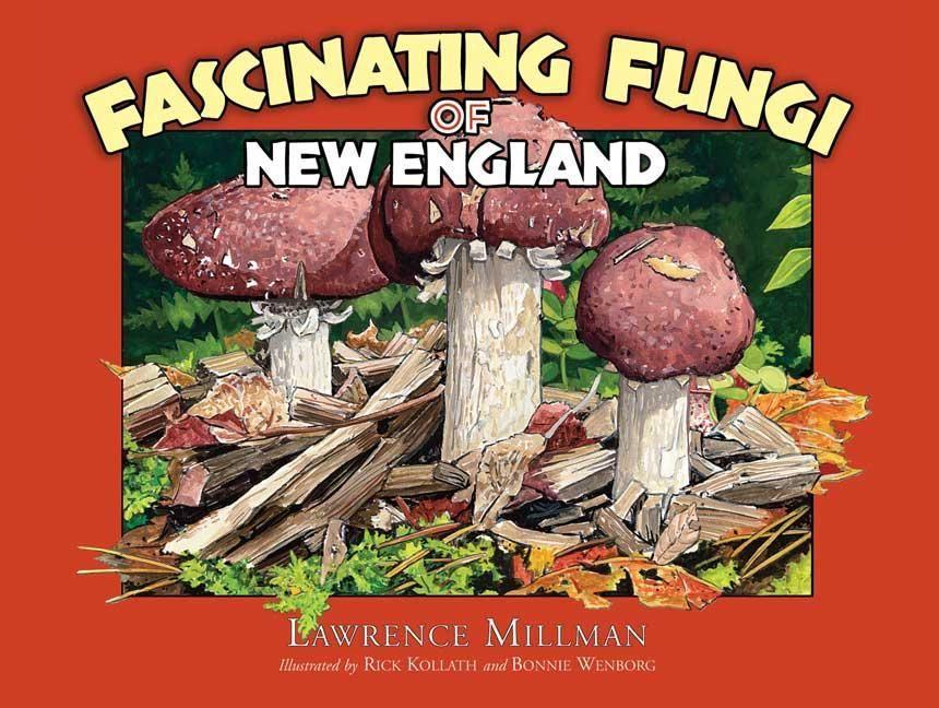 Vorderes Coverbild Fascinating Fungi of New England