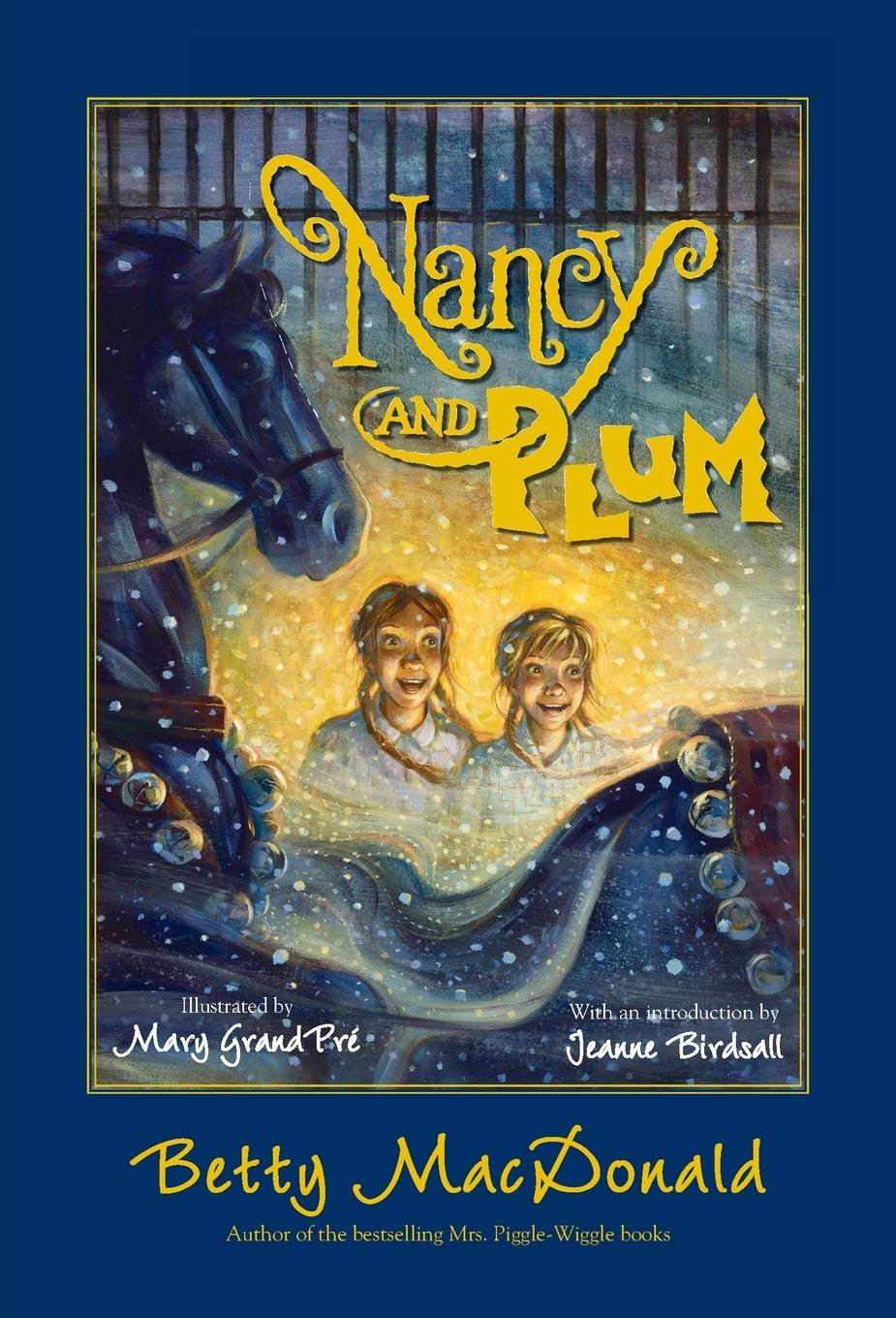 Vorderes Coverbild Nancy and Plum