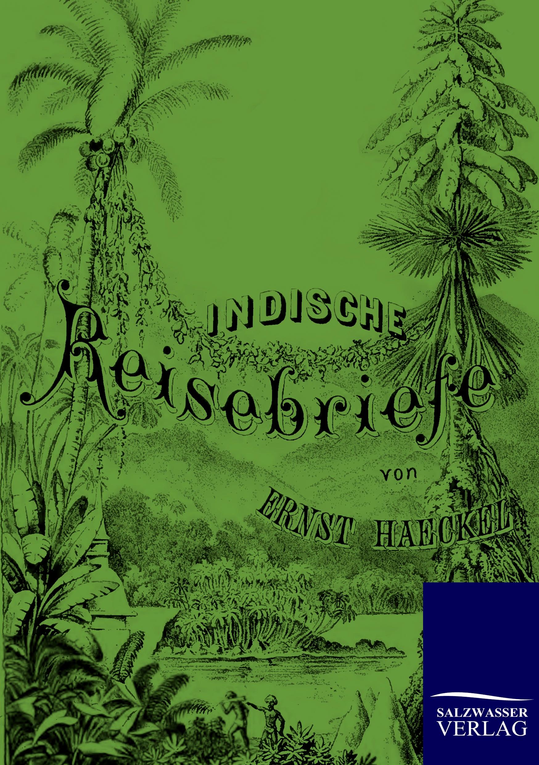 Vorderes Coverbild Indische Reisebriefe