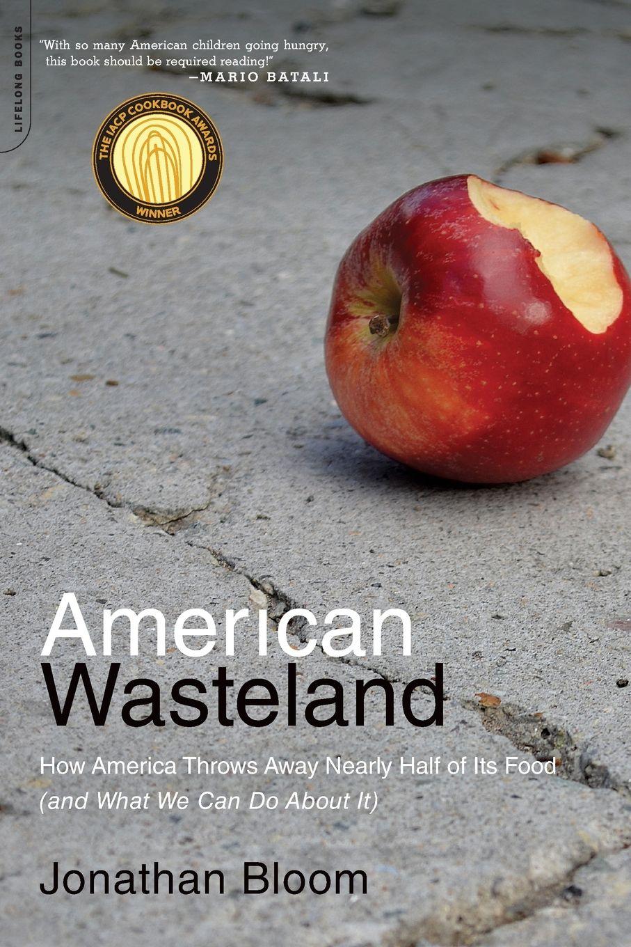 Vorderes Coverbild American Wasteland