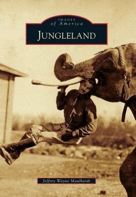 Vorderes Coverbild Jungleland