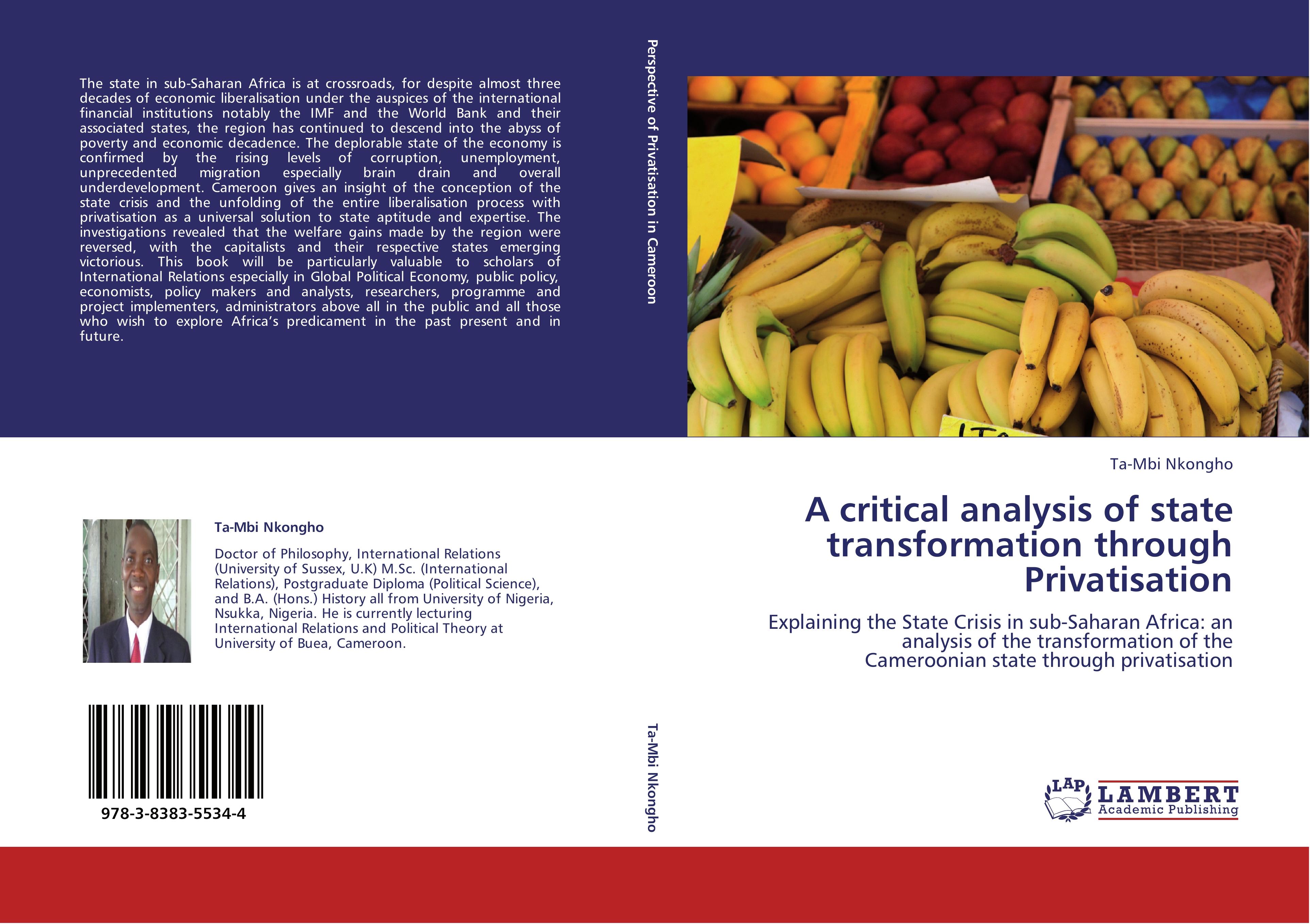 Vorderes Coverbild A critical analysis of state transformation through Privatisation