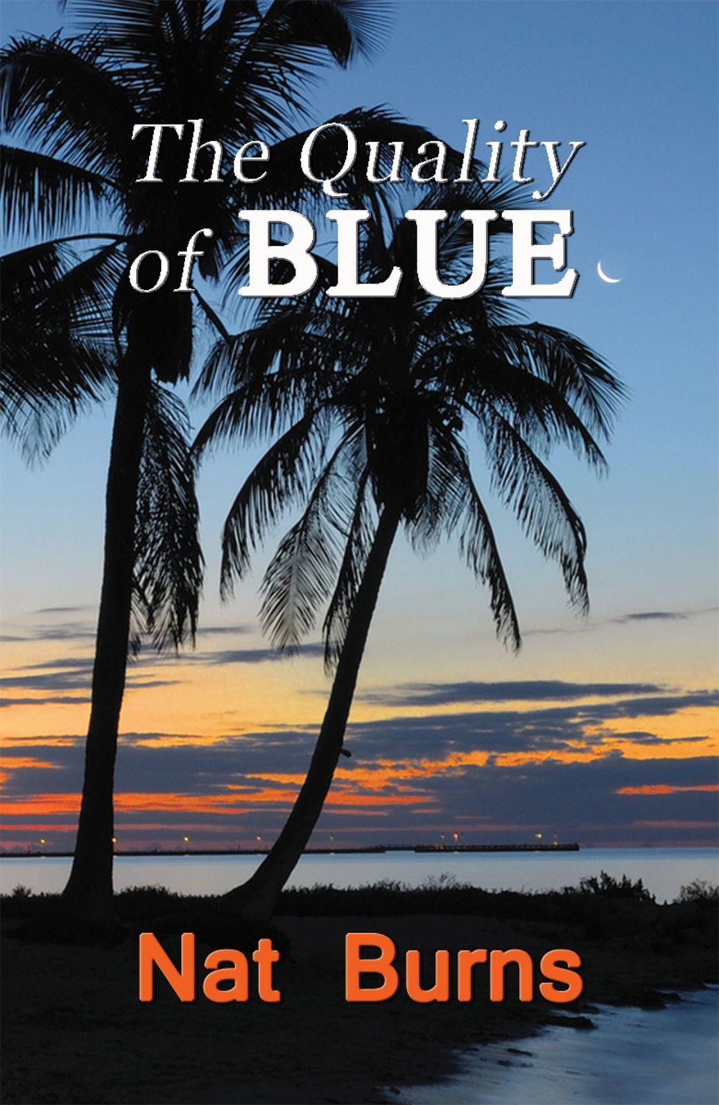 Vorderes Coverbild The Quality of Blue