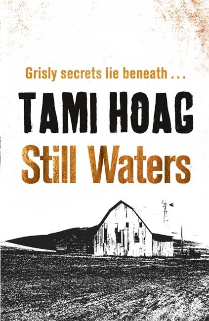 Vorderes Coverbild Still Waters