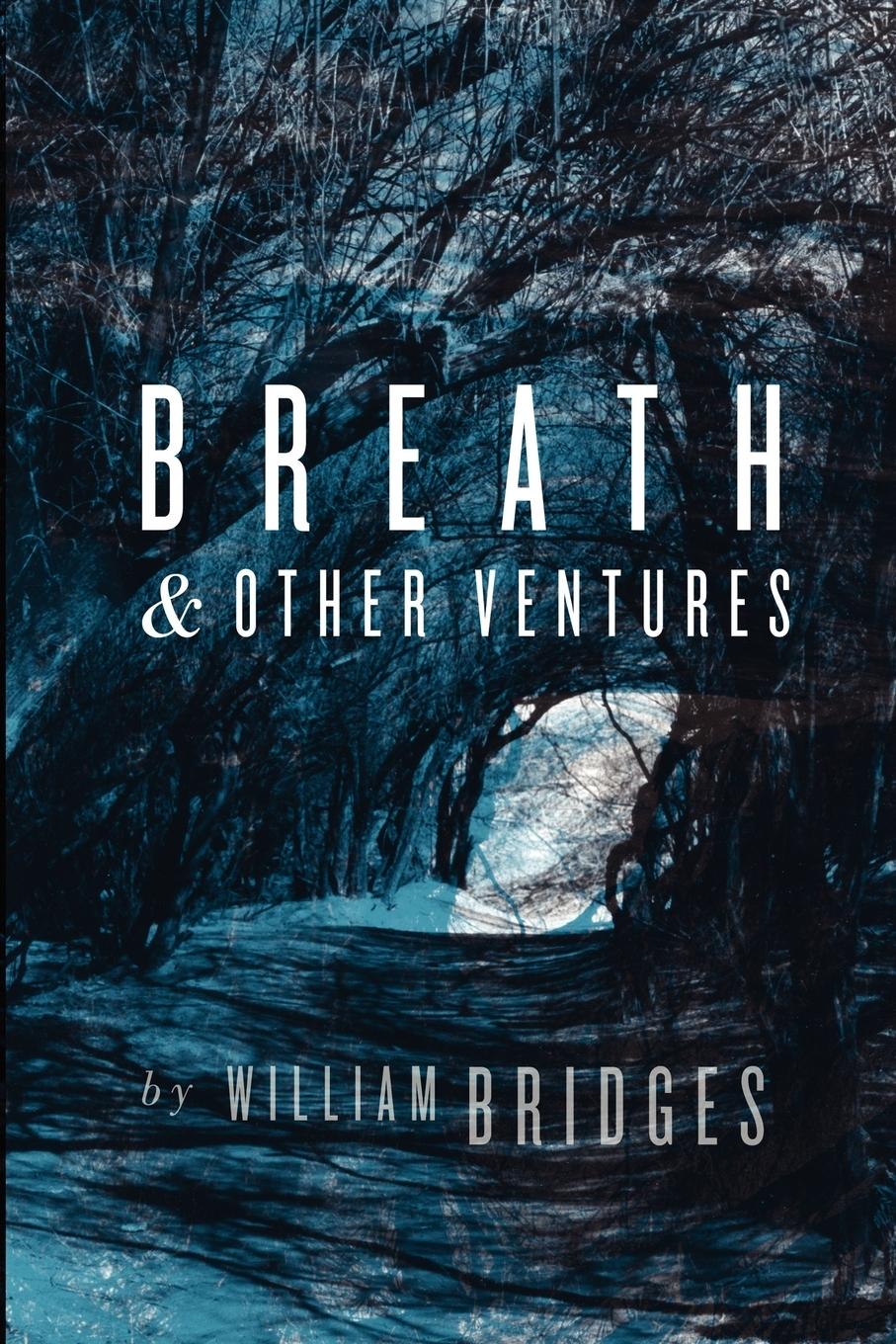 Vorderes Coverbild Breath & Other Ventures
