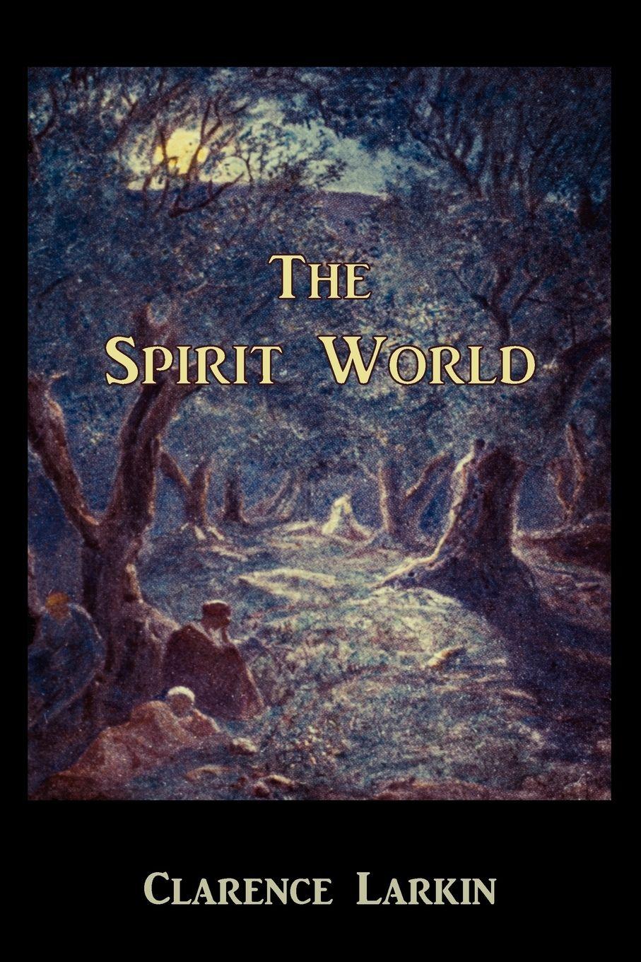 Vorderes Coverbild The Spirit World