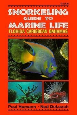 Vorderes Coverbild Snorkeling Guide to Marine Life Florida, Caribbean, Bahamas
