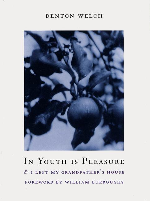 Vorderes Coverbild In Youth Is Pleasure