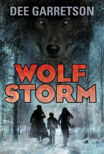 Vorderes Coverbild Wolf Storm