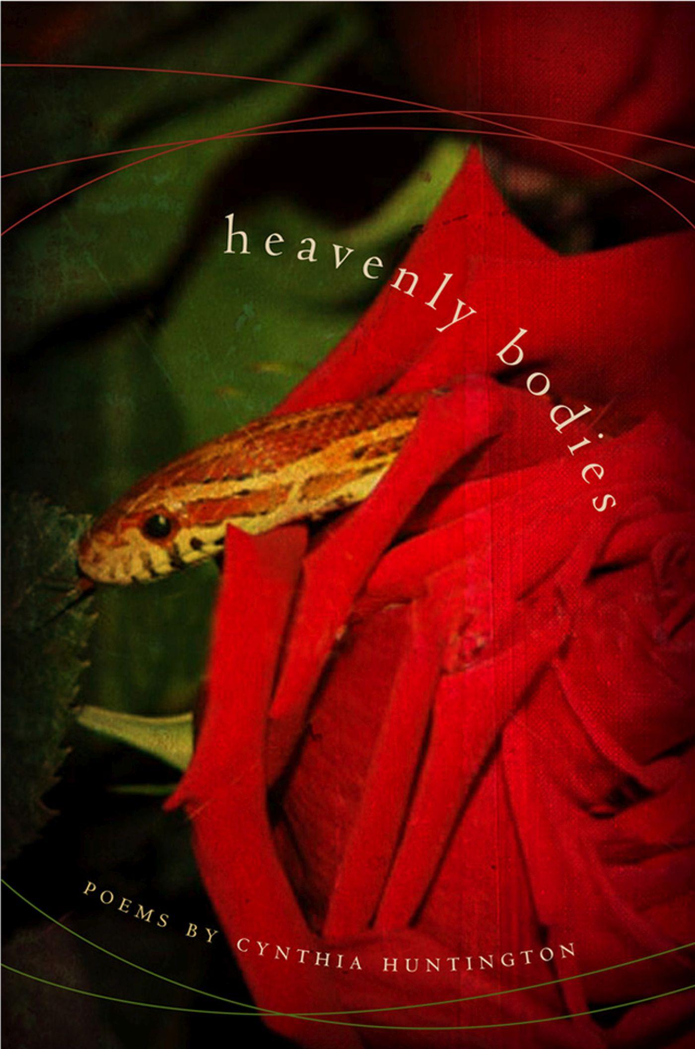 Vorderes Coverbild Heavenly Bodies
