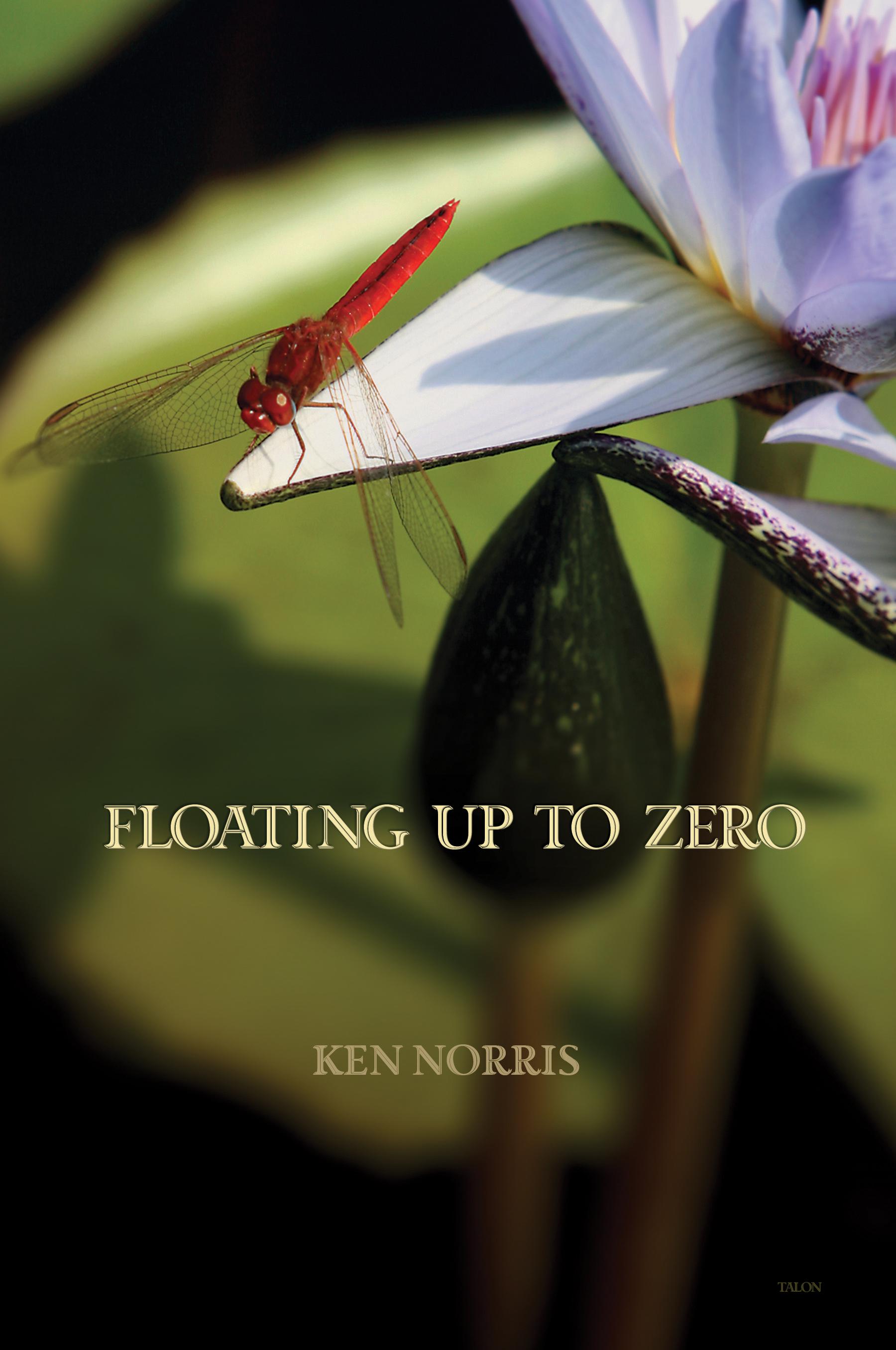 Vorderes Coverbild Floating Up to Zero