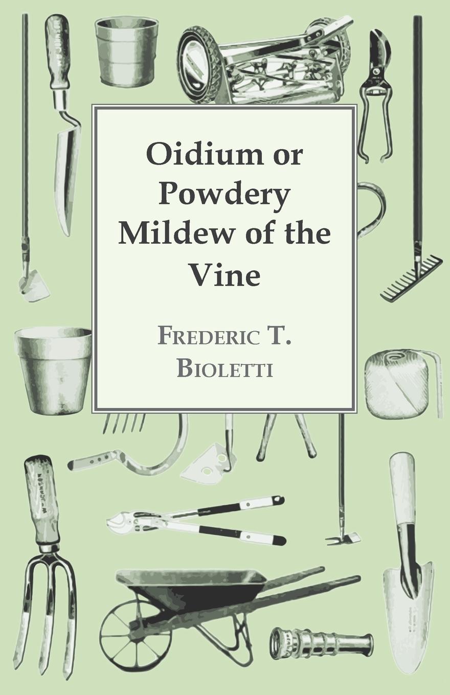 Vorderes Coverbild Oidium or Powdery Mildew of the Vine