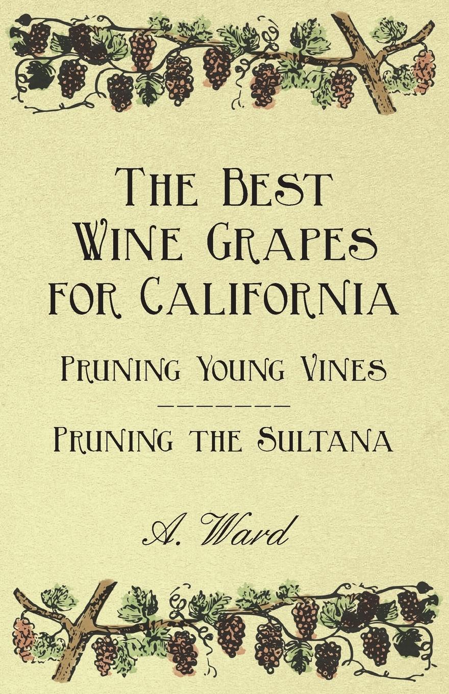 Vorderes Coverbild The Best Wine Grapes for California - Pruning Young Vines - Pruning the Sultana