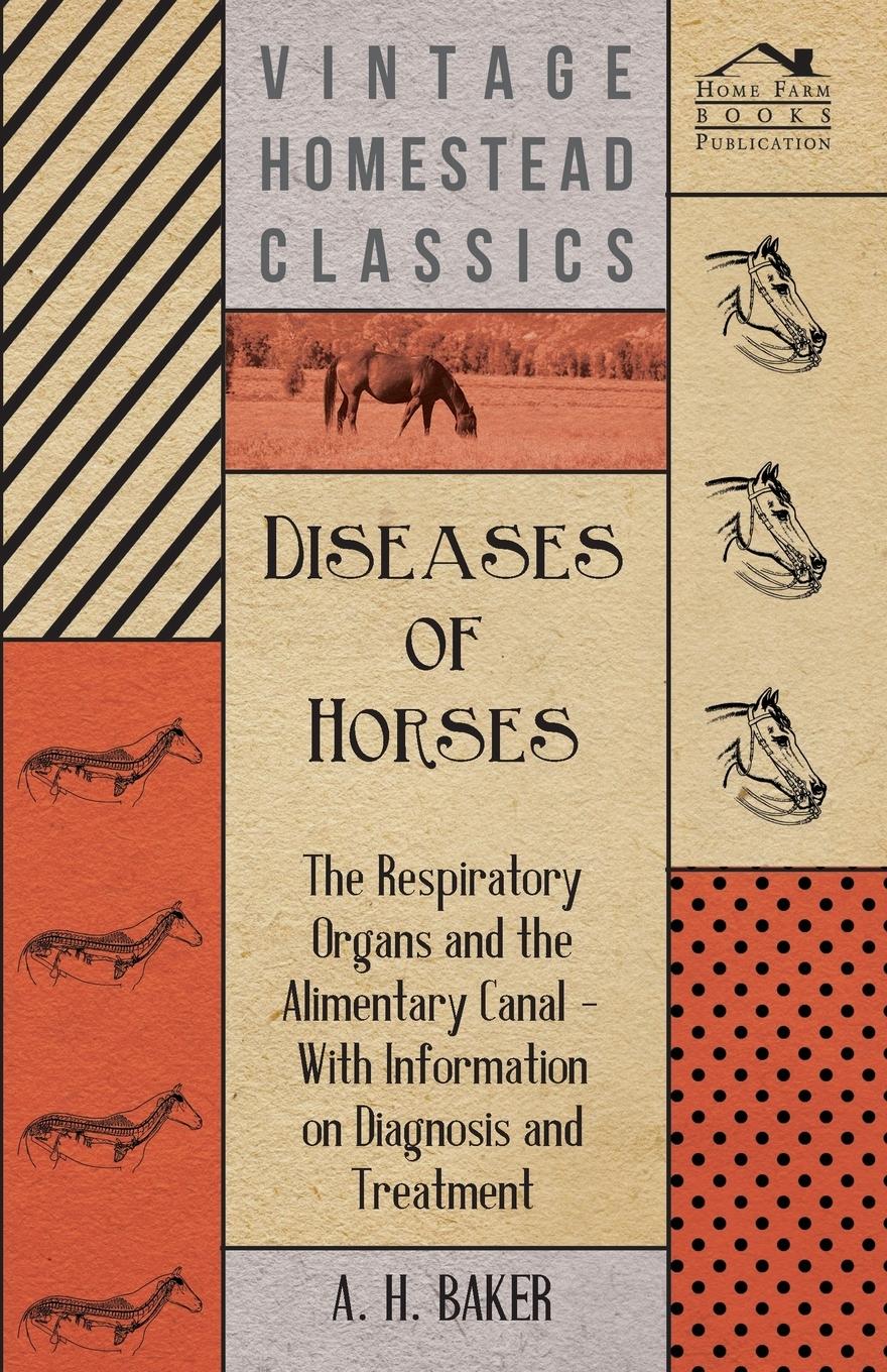 Vorderes Coverbild Diseases of Horses - The Respiratory Organs and the Alimentary Canal - With Information on Diagnosis and Treatment