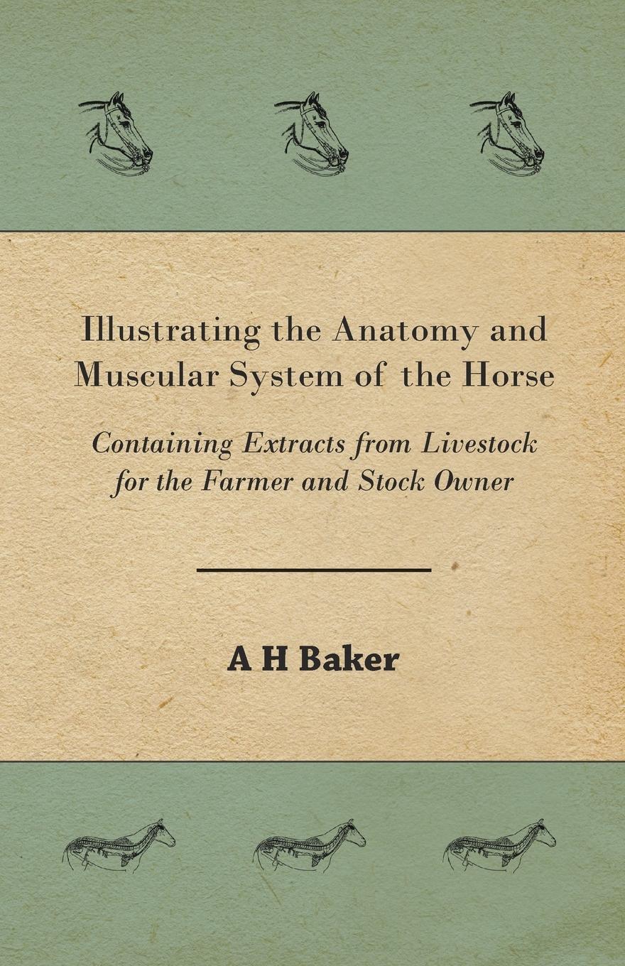 Vorderes Coverbild Illustrating the Anatomy and Muscular System of the Horse - Containing Extracts from Livestock for the Farmer and Stock Owner
