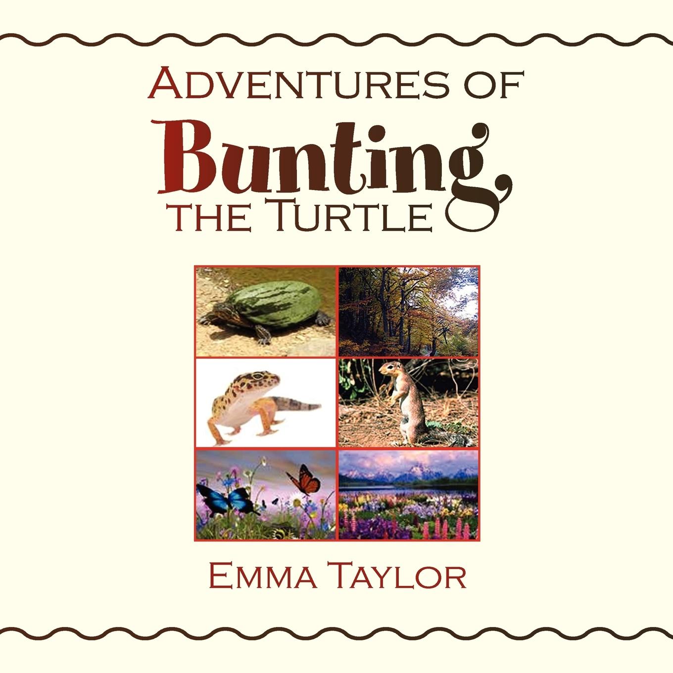 Vorderes Coverbild Adventures of Bunting, the Turtle