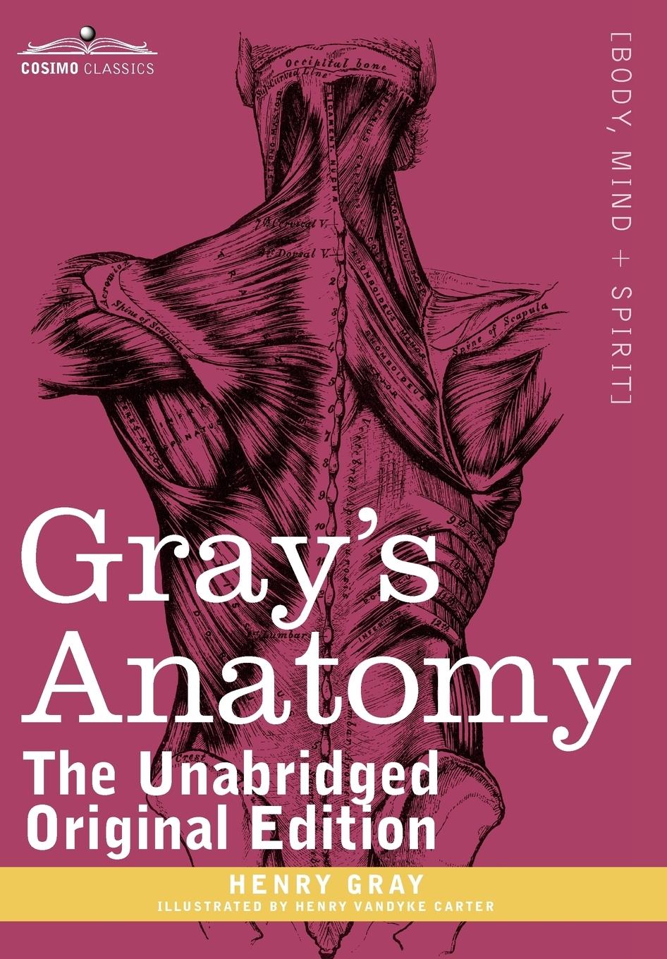Vorderes Coverbild Gray's Anatomy