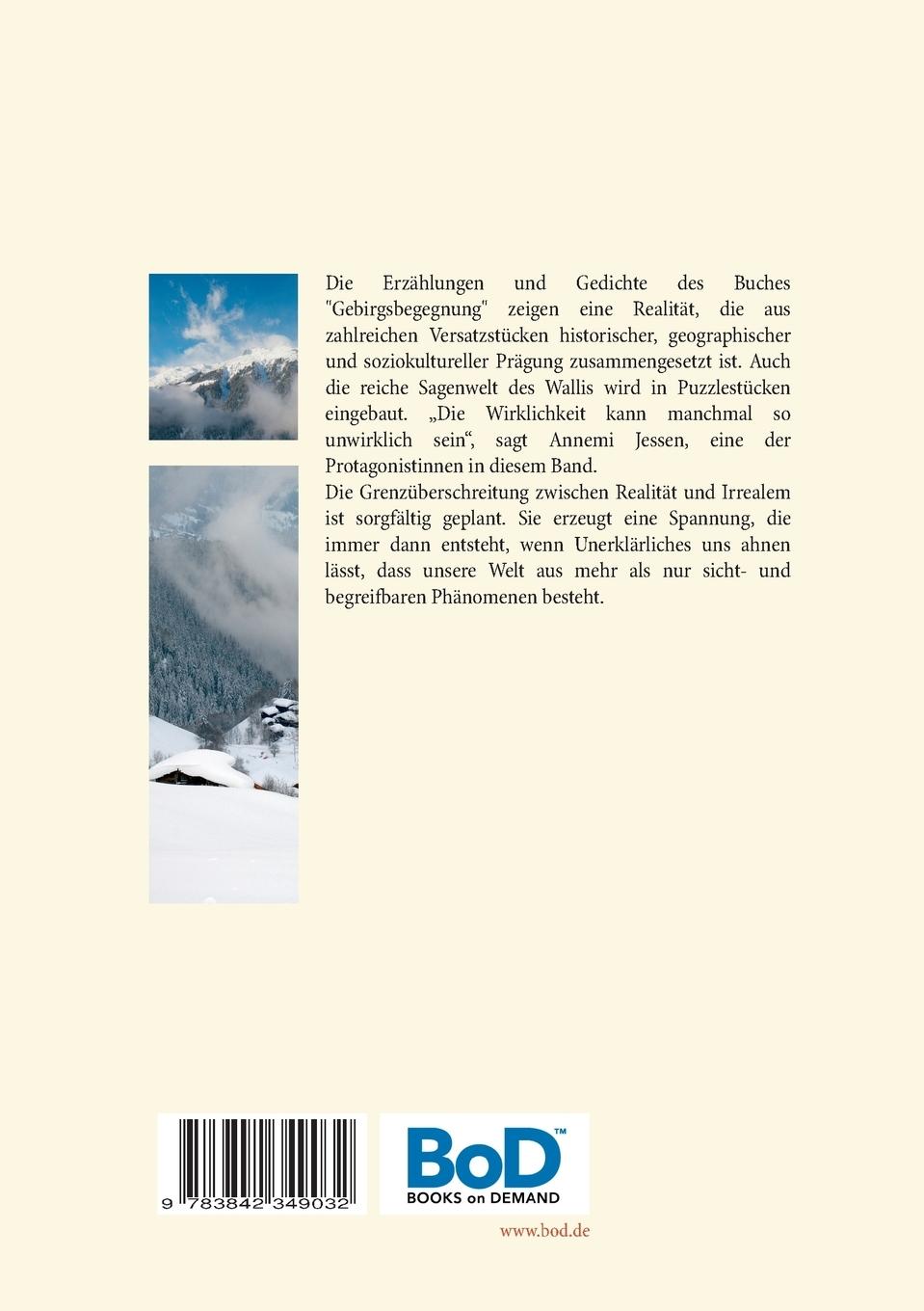 Rückseitencover Bizarre Begegnungen am Berg