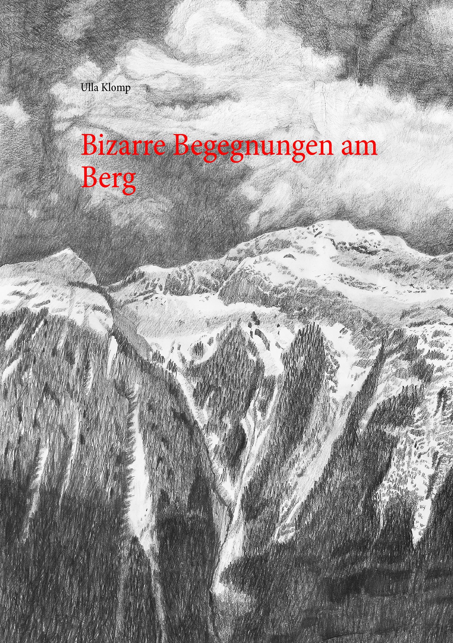 Vorderes Coverbild Bizarre Begegnungen am Berg