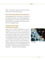 Beispielinhalt (Bild) Hausputz für den Körper