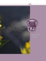 Beispielinhalt (Bild) Hausputz für den Körper