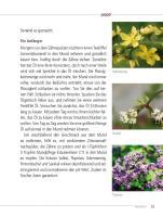 Beispielinhalt (Bild) Hausputz für den Körper