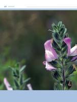 Beispielinhalt (Bild) Hausputz für den Körper