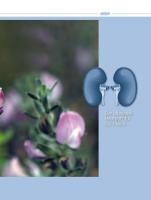 Beispielinhalt (Bild) Hausputz für den Körper