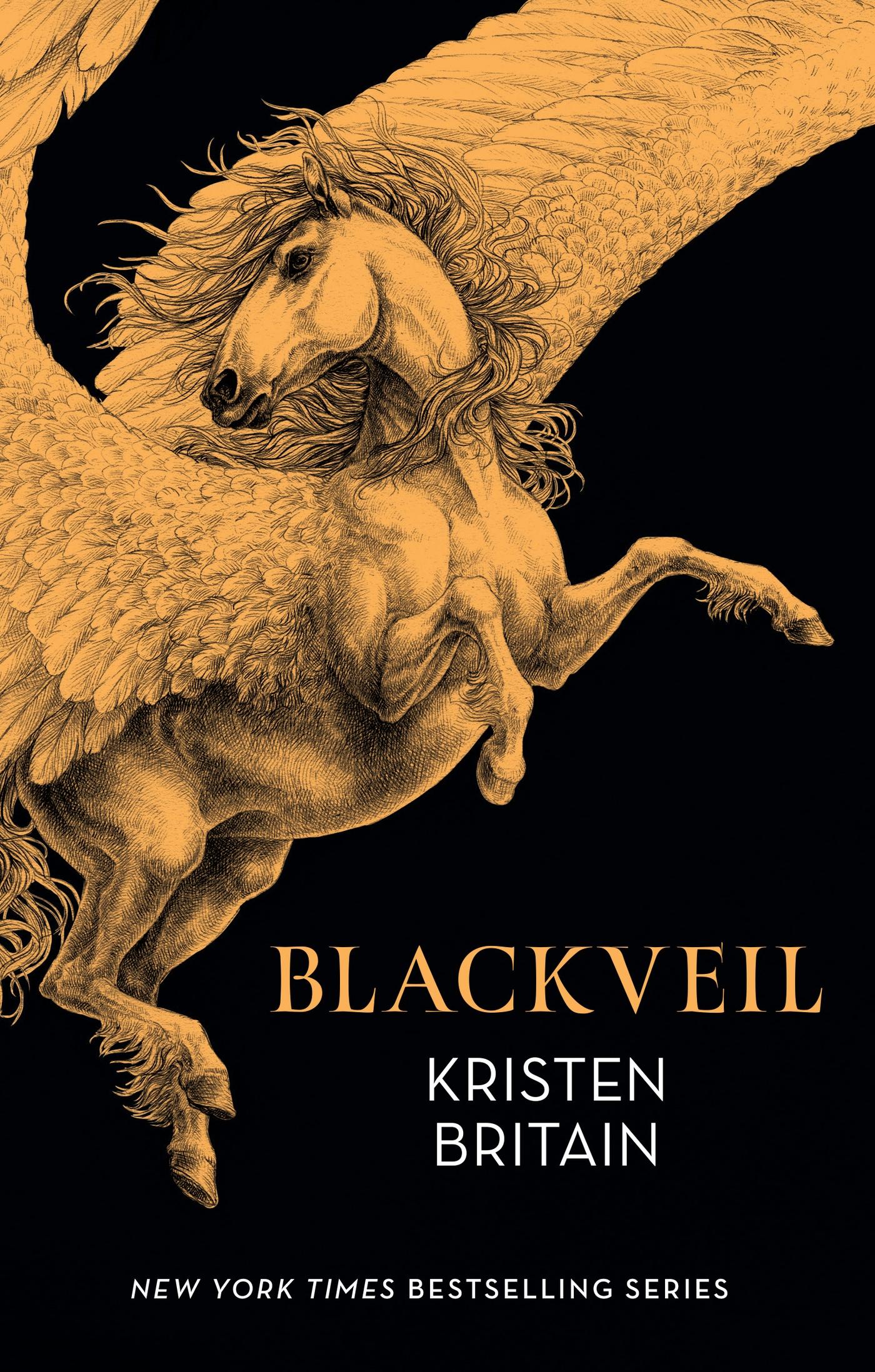 Vorderes Coverbild Blackveil