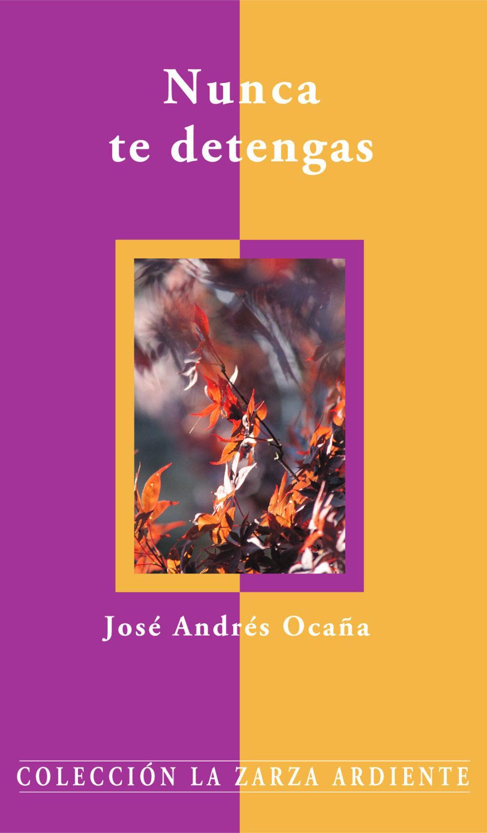 Vorderes Coverbild Nunca te detengas