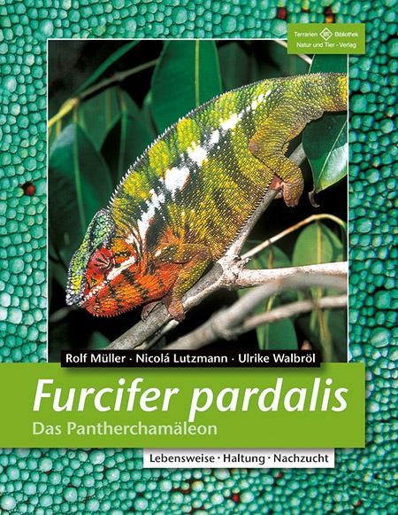Vorderes Coverbild Furcifer pardalis. Das Panterchamäleon