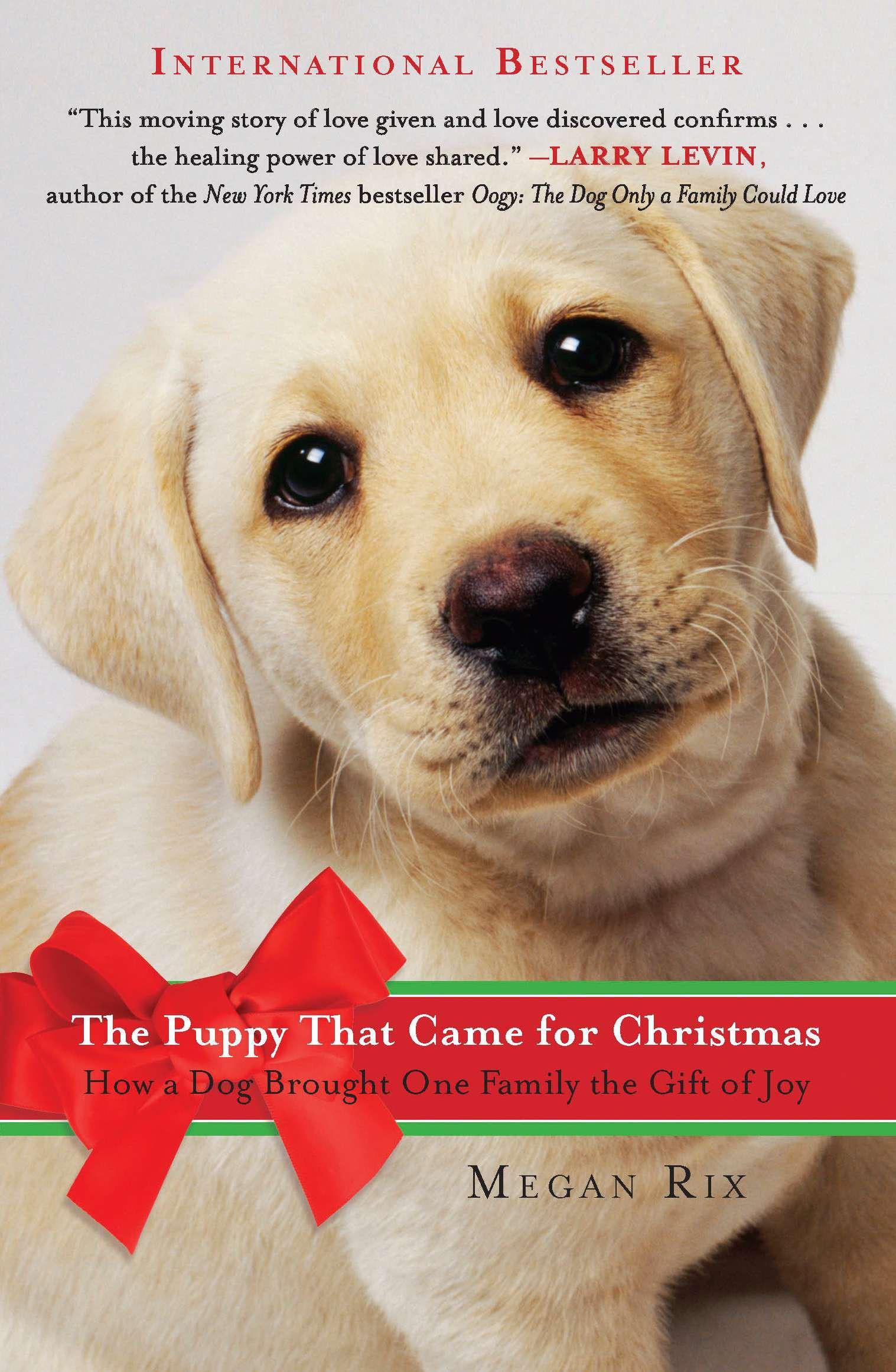 Vorderes Coverbild The Puppy That Came for Christmas